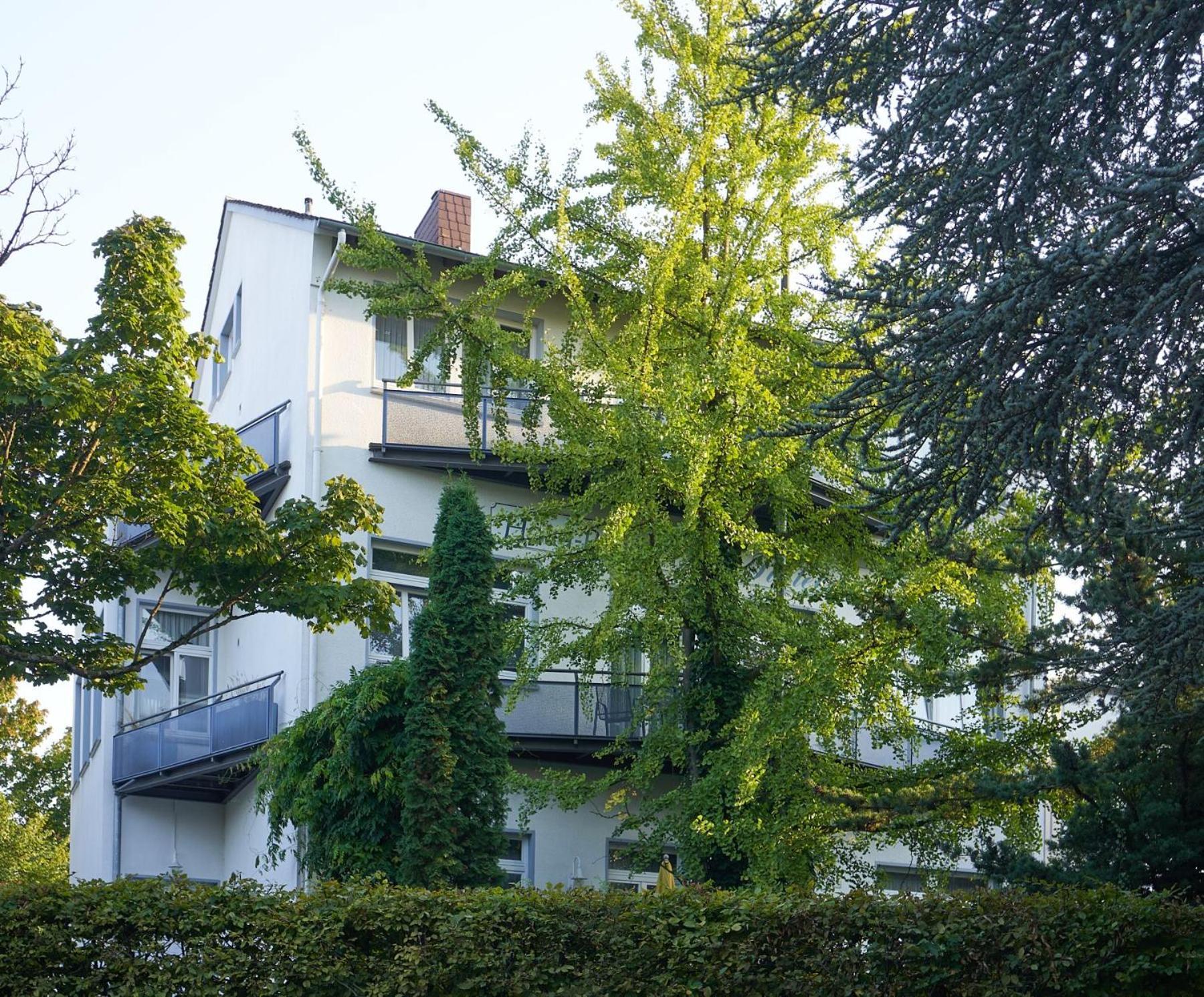 Pension Am Sueltebrunnen 巴特恩豪森 外观 照片